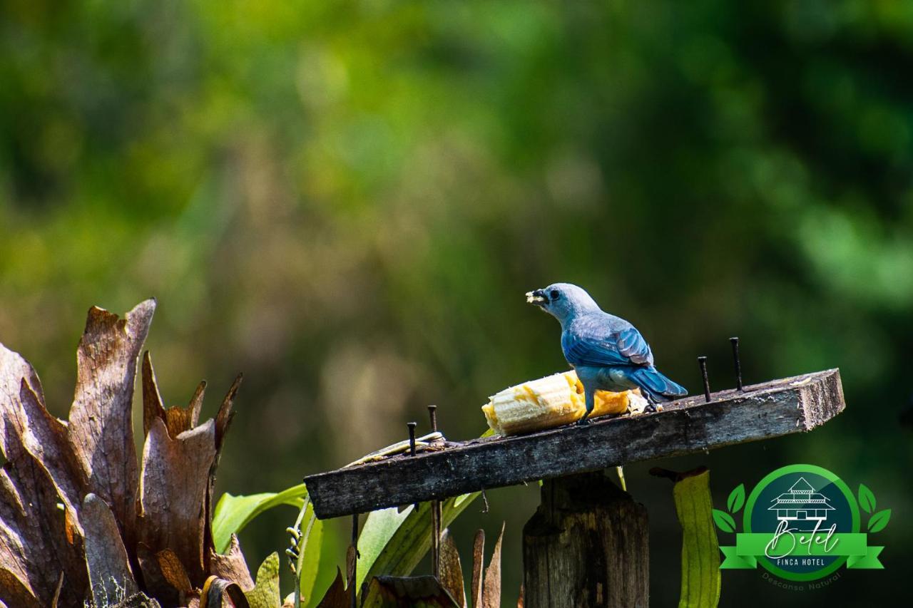 Finca Hotel Betel San Carlos Ngoại thất bức ảnh