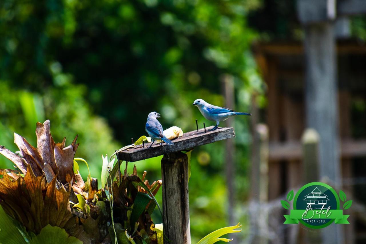 Finca Hotel Betel San Carlos Ngoại thất bức ảnh