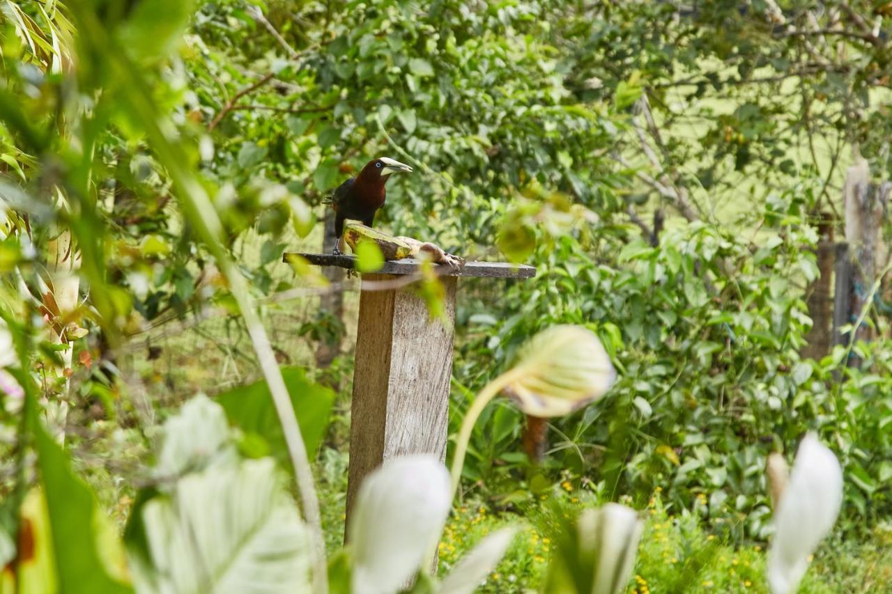 Finca Hotel Betel San Carlos Ngoại thất bức ảnh